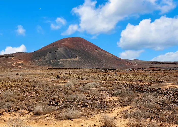 بيت للعطل Sweet Majanicho